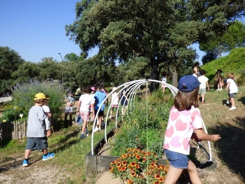 Campamentos Club las Encinas de Boadilla - 4