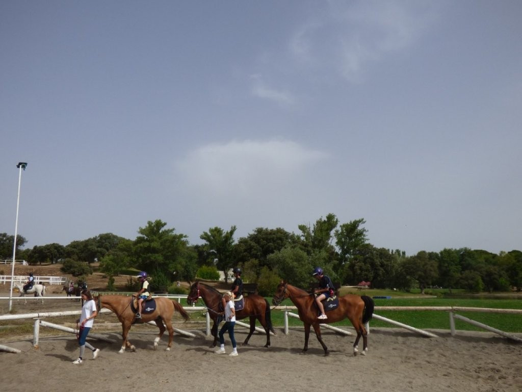 Campamentos Club las Encinas de Boadilla - 7